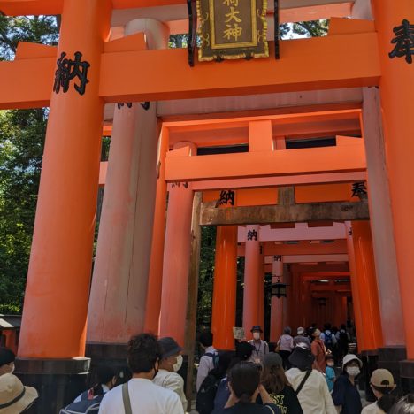京都最古の禅寺『建仁寺』へ行きました。建仁寺の法堂の天井画『双龍図』は迫力がすごおいです。