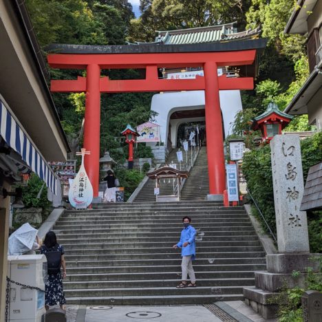鎌倉の『鶴岡八幡宮』に行きました。源頼朝ゆかりの神社ということもあり観光の方はかなり多くいました。