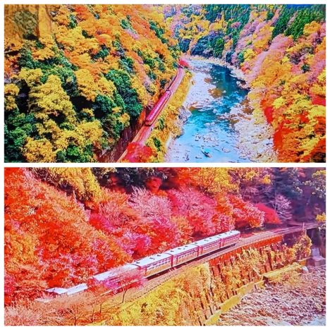 日本の列車旅ＳＰで紹介された阪急電車から見える『なにわ淀川花火大会』。迫力ありますね。