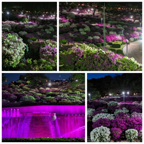 映画『青春18☓2 君へと続く道』いよいよ本日公開。清原果耶さんの演技も楽しみです。