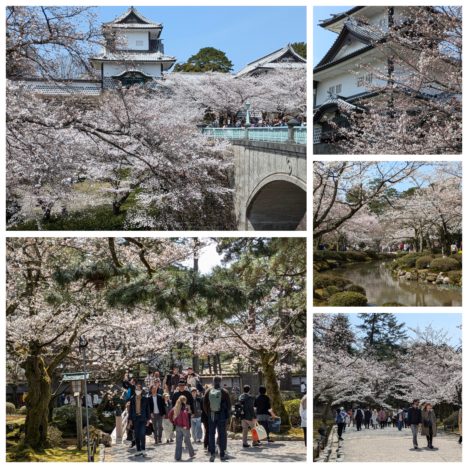 波瑠さんのコラージュ