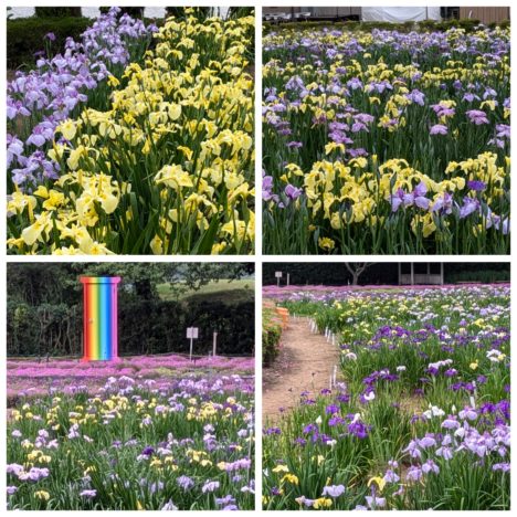 miletちゃんのコラージュ