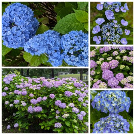 ドラマ『全領域異常解決室』出演の福本莉子ちゃん