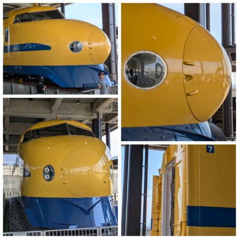 ドラマ『透明なわたしたち』出演の福原遙ちゃん