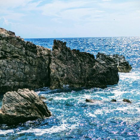 ドラマ『花咲舞が黙ってない』出演の今田美桜ちゃん