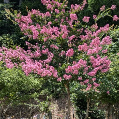 ドラマ『明日はもっと、いい日になる』出演の福原遙ちゃんと林遣都さん。何が正しいかも分からず、無茶に巻き込まれる弱者は大変です