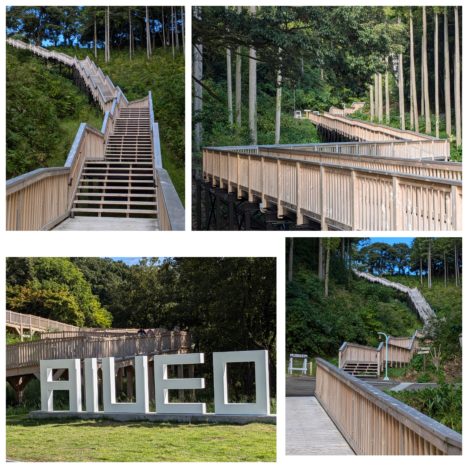 山代温泉『瑠璃光』で贅沢なひと時を家族で過ごしてます。夕食のメインにはいちばん人気のあわびグラタンを頂きました、満足。