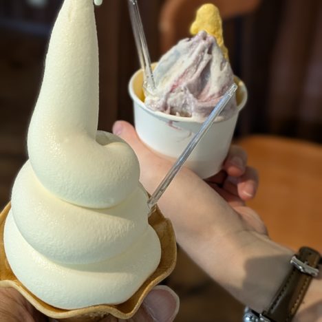 『ゴチ』参戦の2年前の小芝風花ちゃん、風花ちゃんの笑顔は必須だな