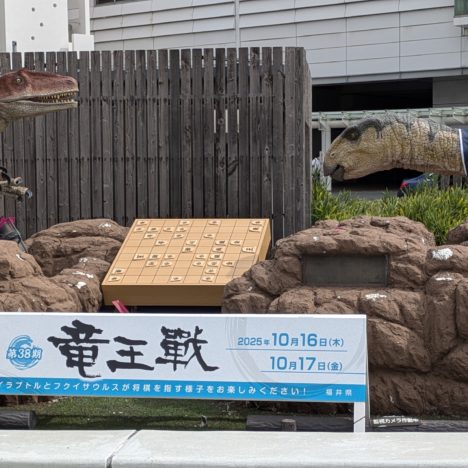 『ゴチ』参戦の小芝風花ちゃん、来年も楽しくいきましょう