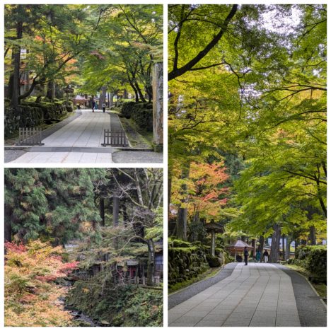 『ゴチ26』参戦の白石麻衣さん、まいやんのよろこび方も定着しましたね