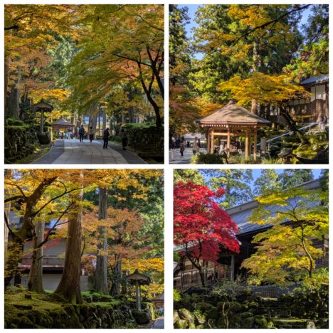 ドラマ『事件は、その周りで起きている』出演の小芝風花ちゃん