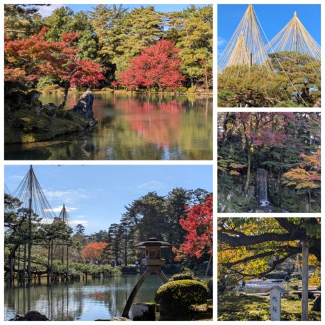 ドラマ『私の夫と結婚して』出演の小芝風花ちゃん、どんな役もこなす風花ちゃん、次が楽しみです