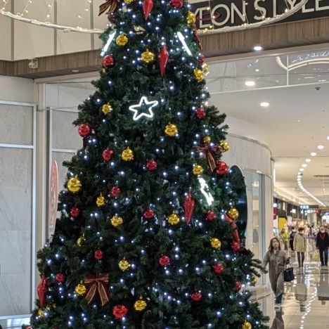 永平寺の紅葉、11月後半にならないとですね