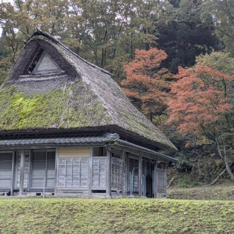 ドラマ『事件は、その周りで起きている』出演の小芝風花ちゃん