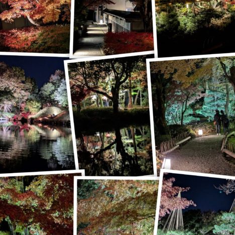 ドラマ『フェルマーの料理』出演の小芝風花ちゃん、優しい表情がお気に入り