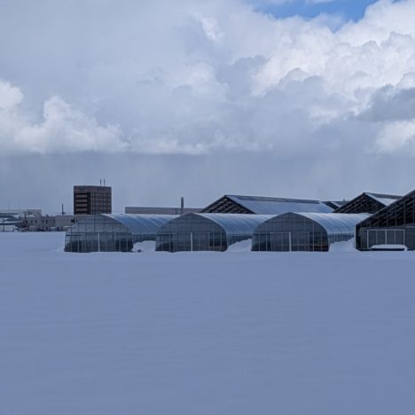 大河ドラマ『豊臣兄弟！』出演の浜辺美波さん、いい笑顔だね