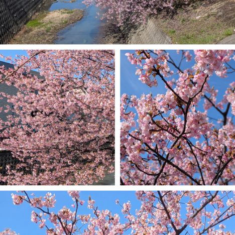 新ドラマ『月夜行路』出演の波瑠さんと麻生久美子さん。いい雰囲気ですね