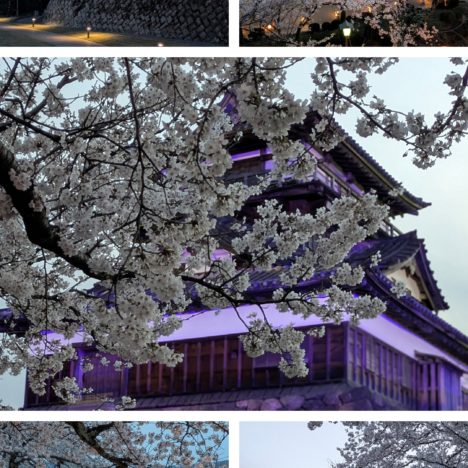 『彼女はキレイだった』出演の小芝風花ちゃん