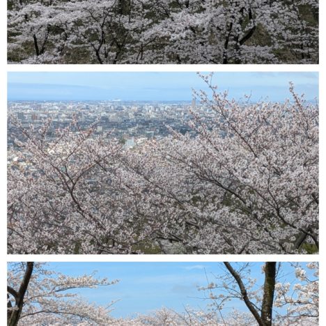 映画『高台家の人々』出演の綾瀬はるかさん、心の中がわかるのはいくらなんでもこわすぎる