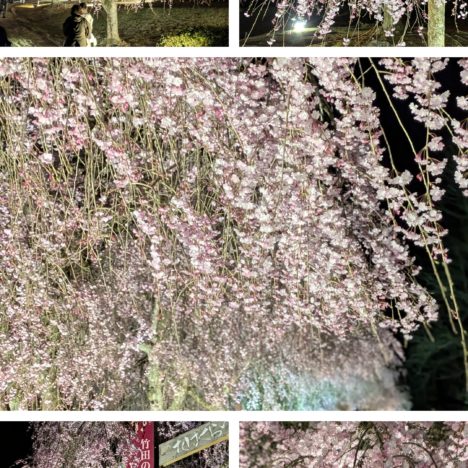 ドラマ『彼女はキレイだった』出演の小芝風花ちゃん、キレイは間違いなし